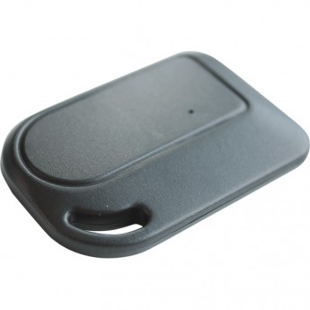 Брелок PANDORA IS-250/350